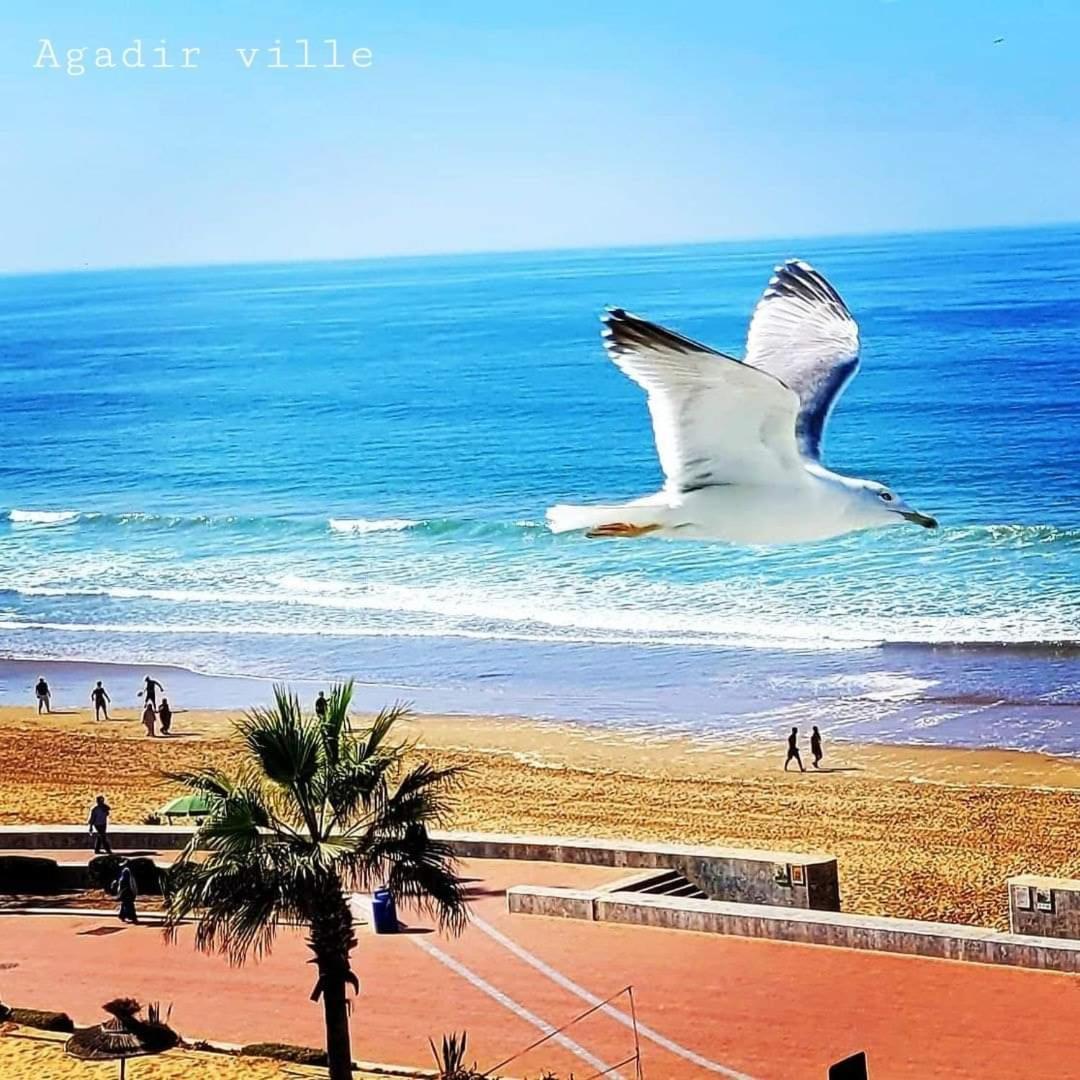 Appartement Deluxe Avec Piscine Privee Agadir Buitenkant foto